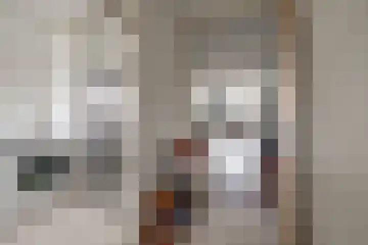 Alferbos 42 Zoetermeer thumbnail 8
