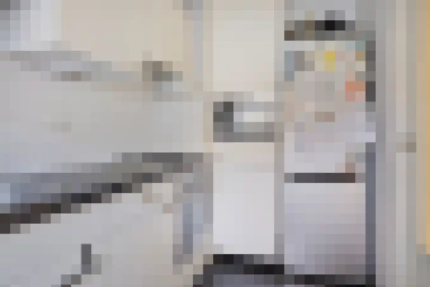 Alferbos 6 Zoetermeer thumbnail 10