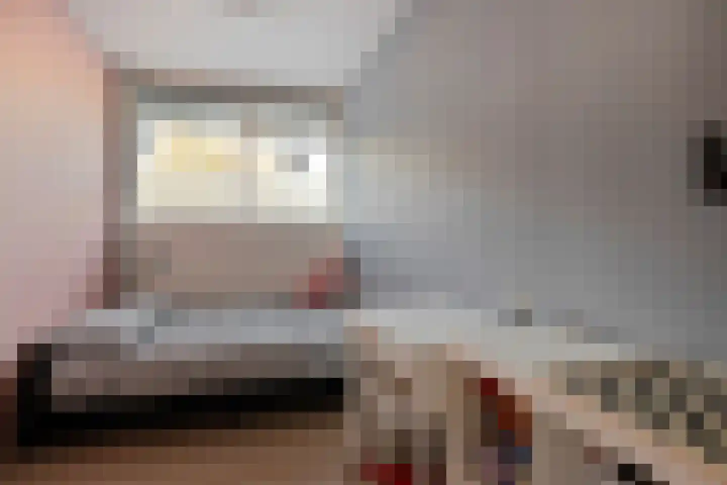 Alferbos 6 Zoetermeer thumbnail 13