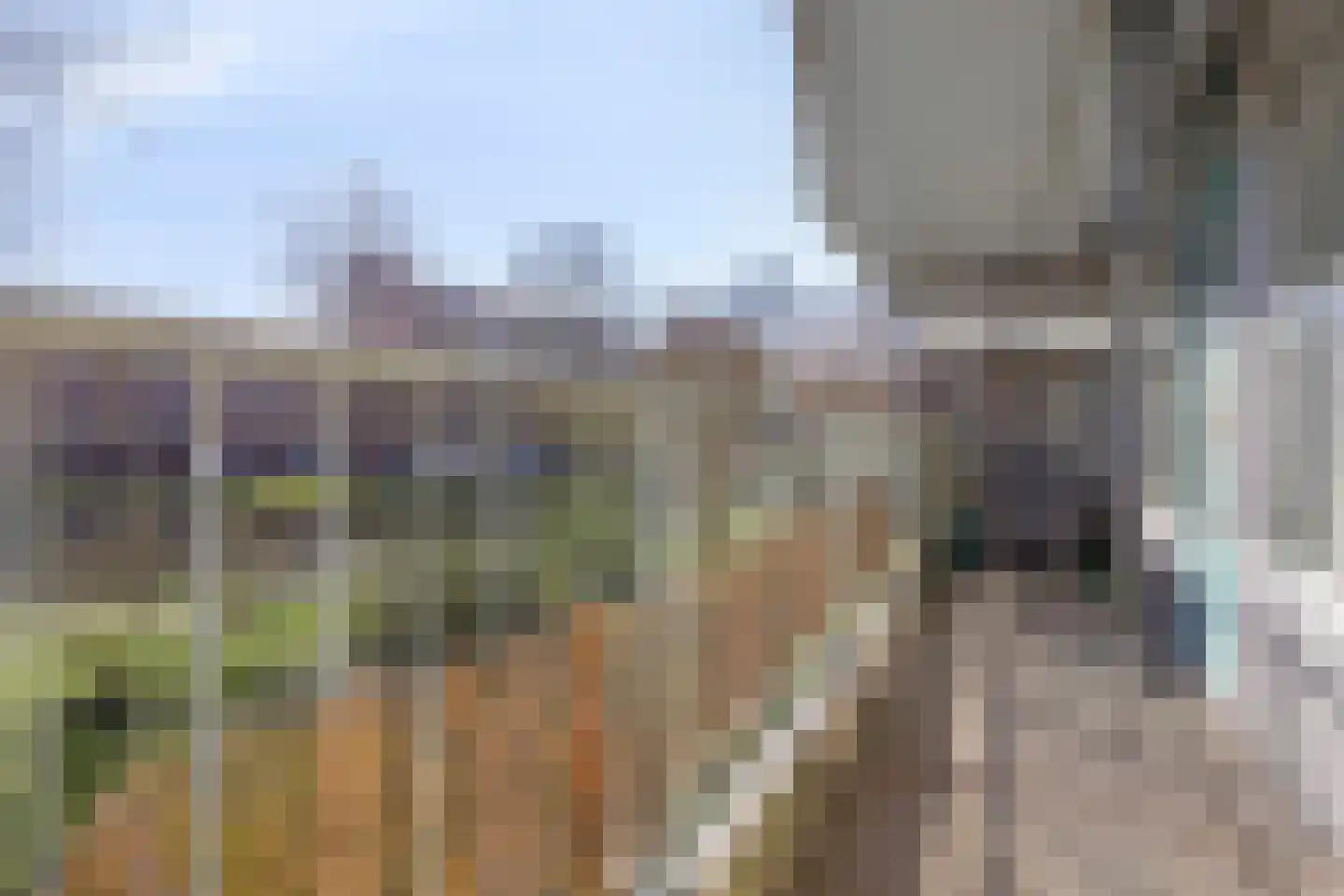 Alferbos 6 Zoetermeer thumbnail 19