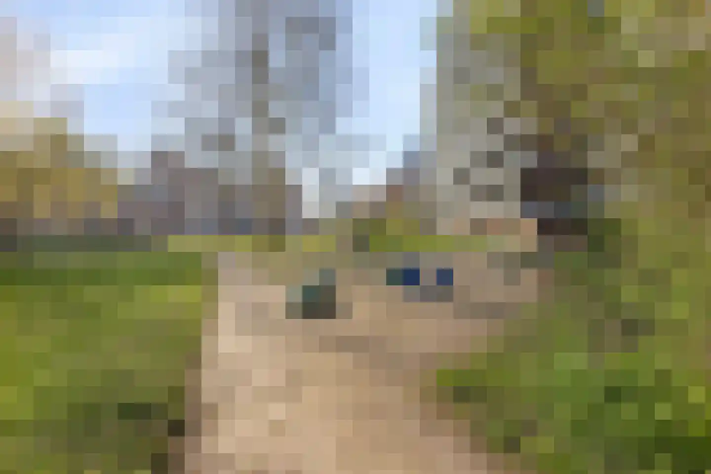 Alferbos 6 Zoetermeer thumbnail 22