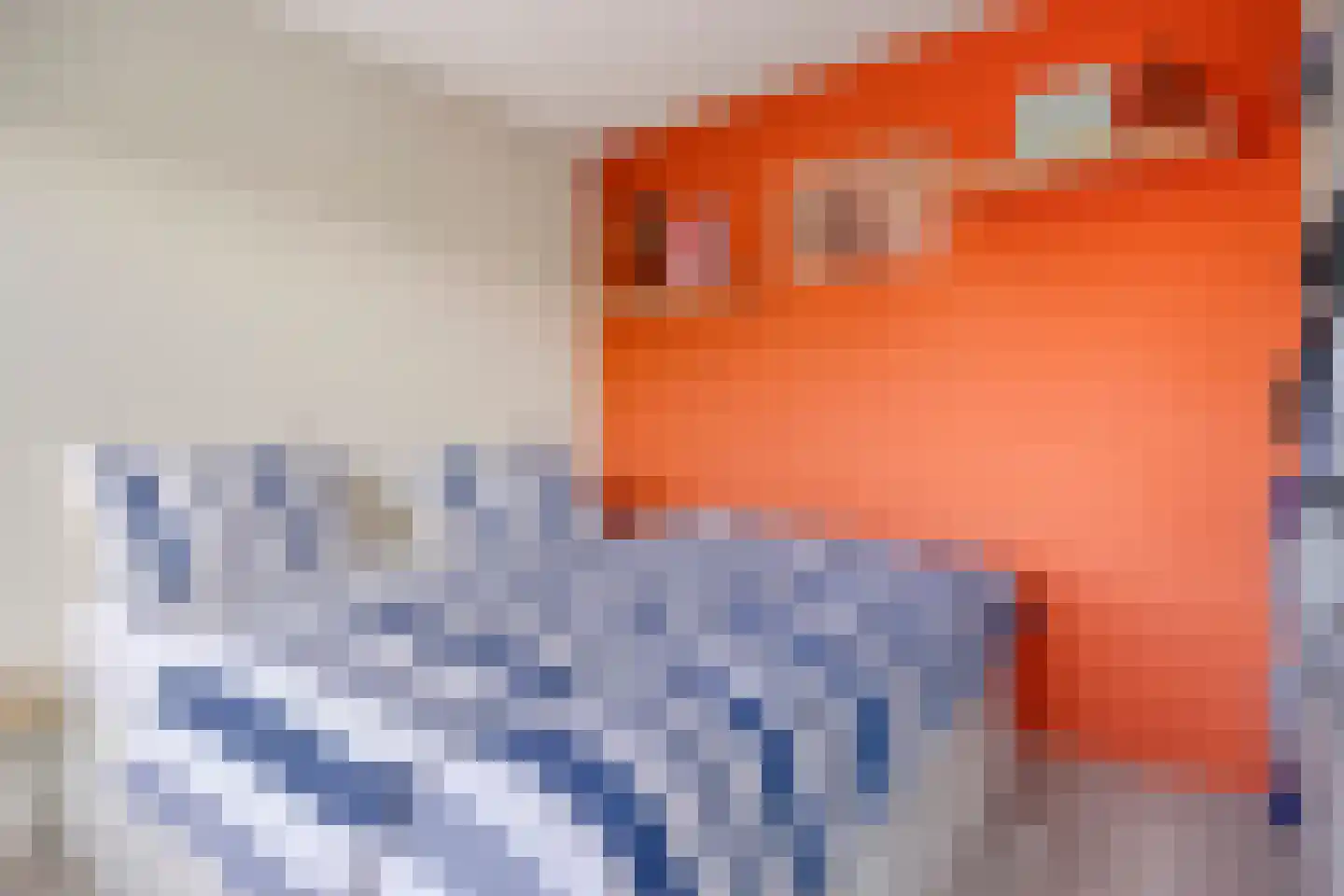 Alferbos 70 Zoetermeer thumbnail 11