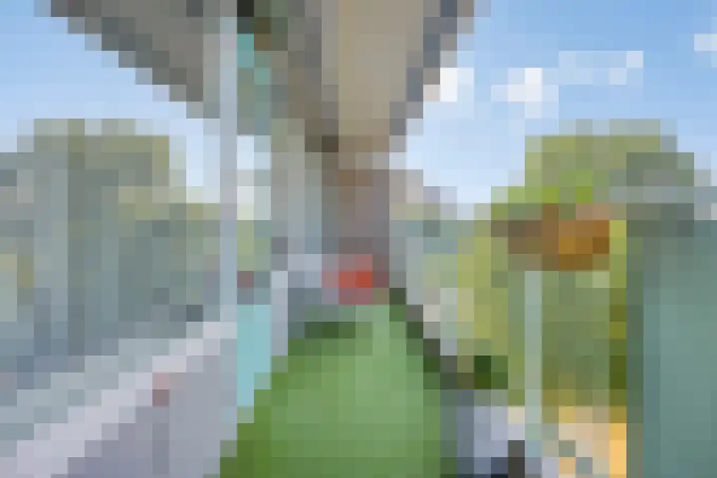 Alferbos 70 Zoetermeer thumbnail 13