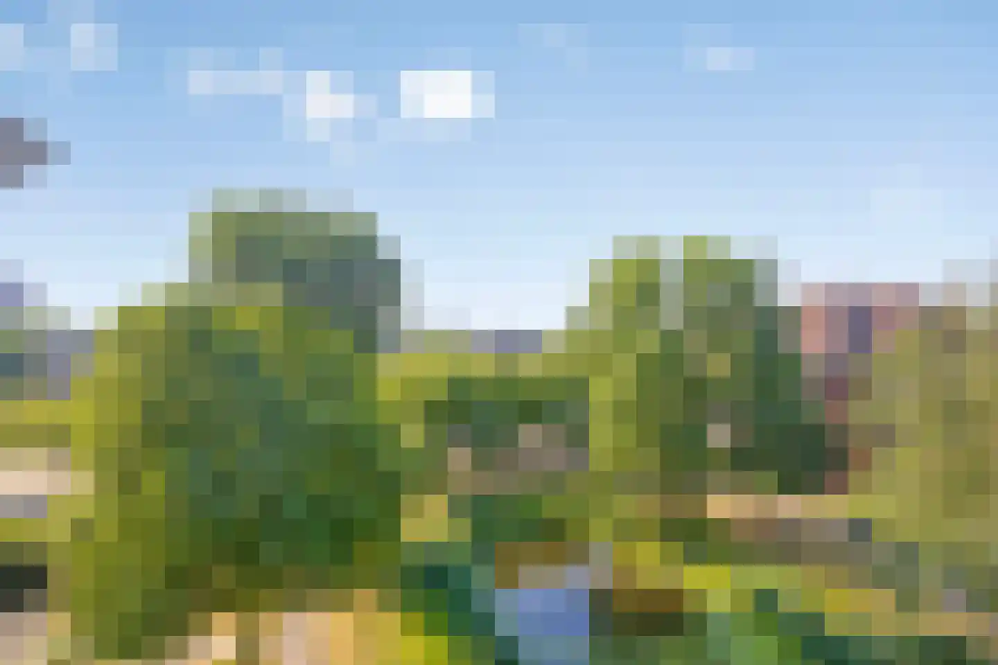 Alferbos 70 Zoetermeer thumbnail 14
