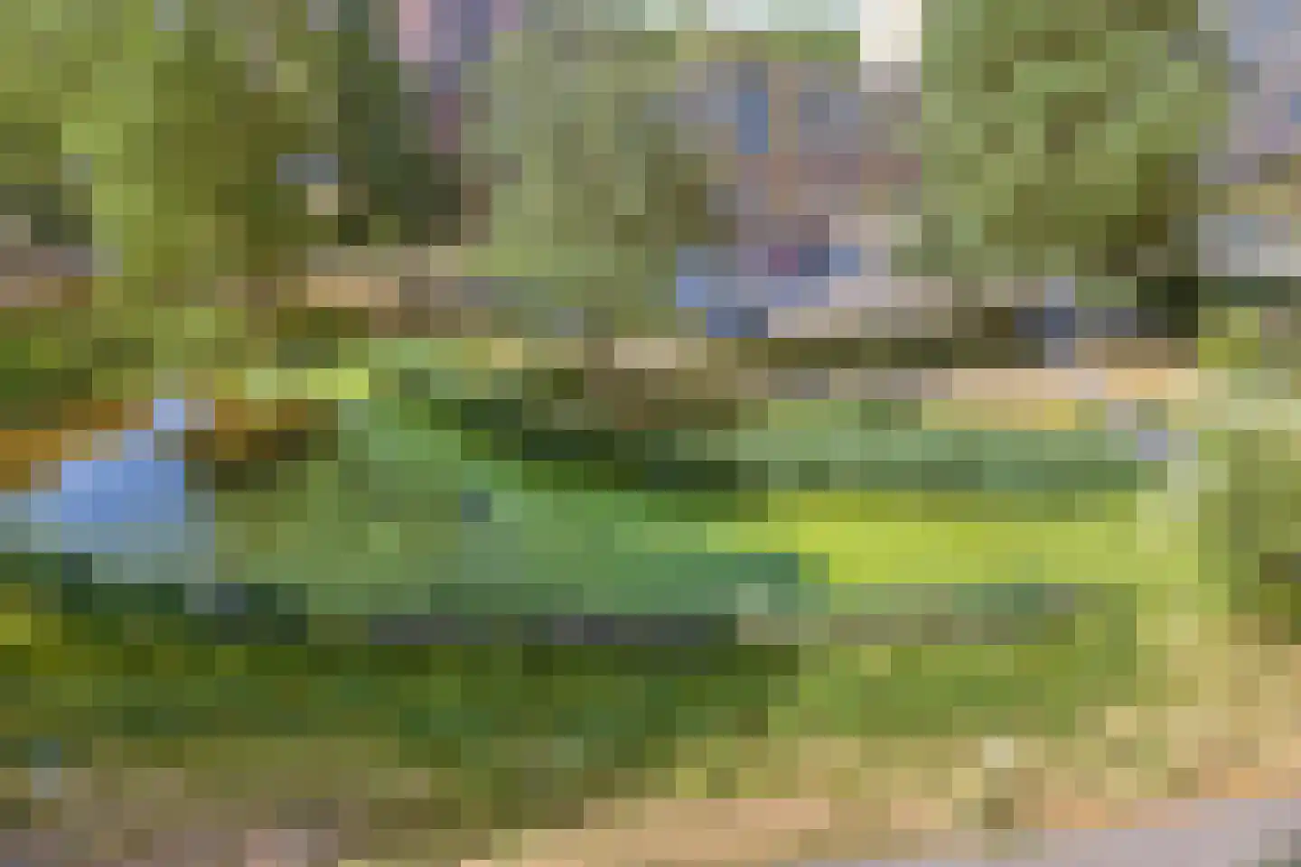 Alferbos 70 Zoetermeer thumbnail 15