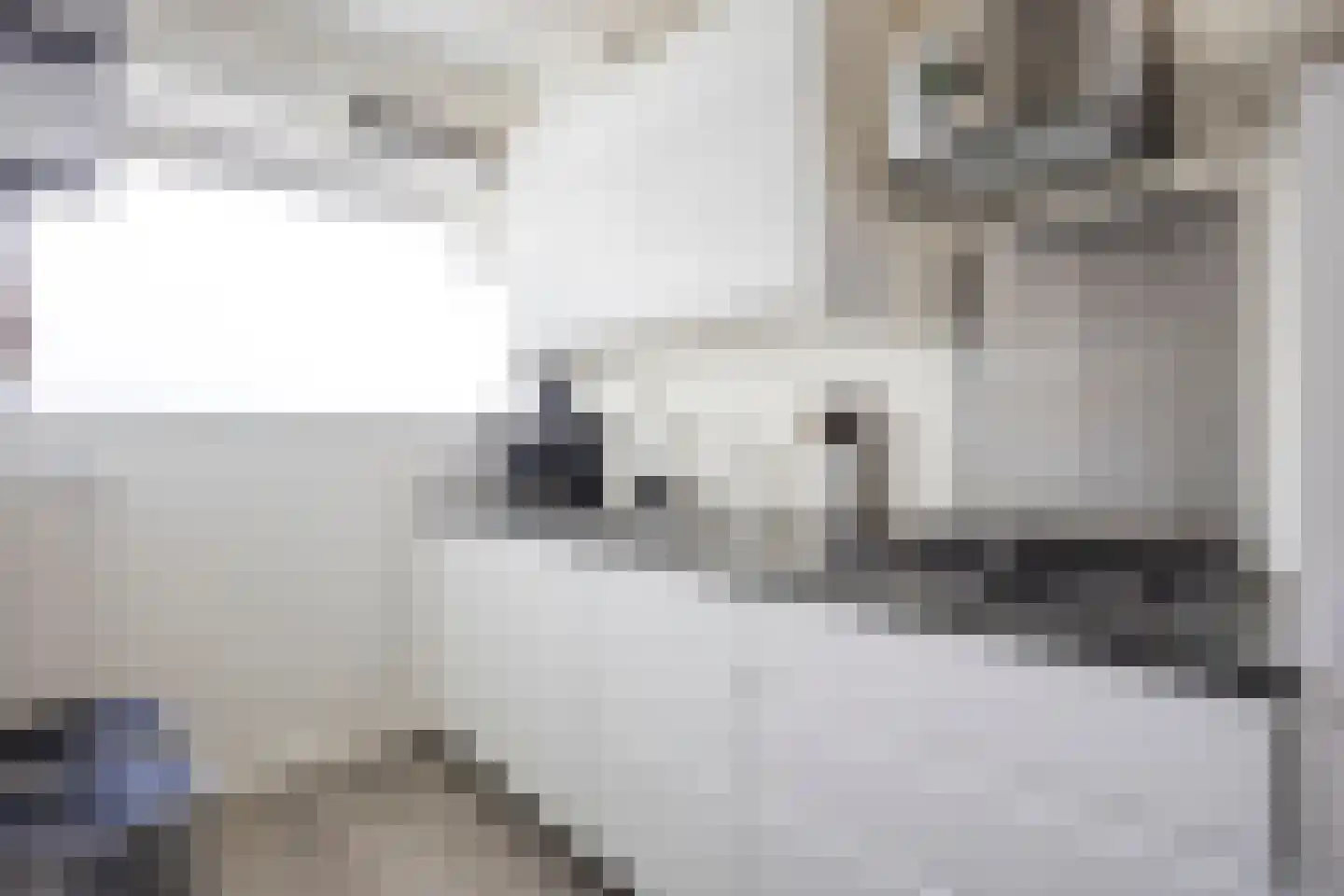 Alferbos 70 Zoetermeer thumbnail 19