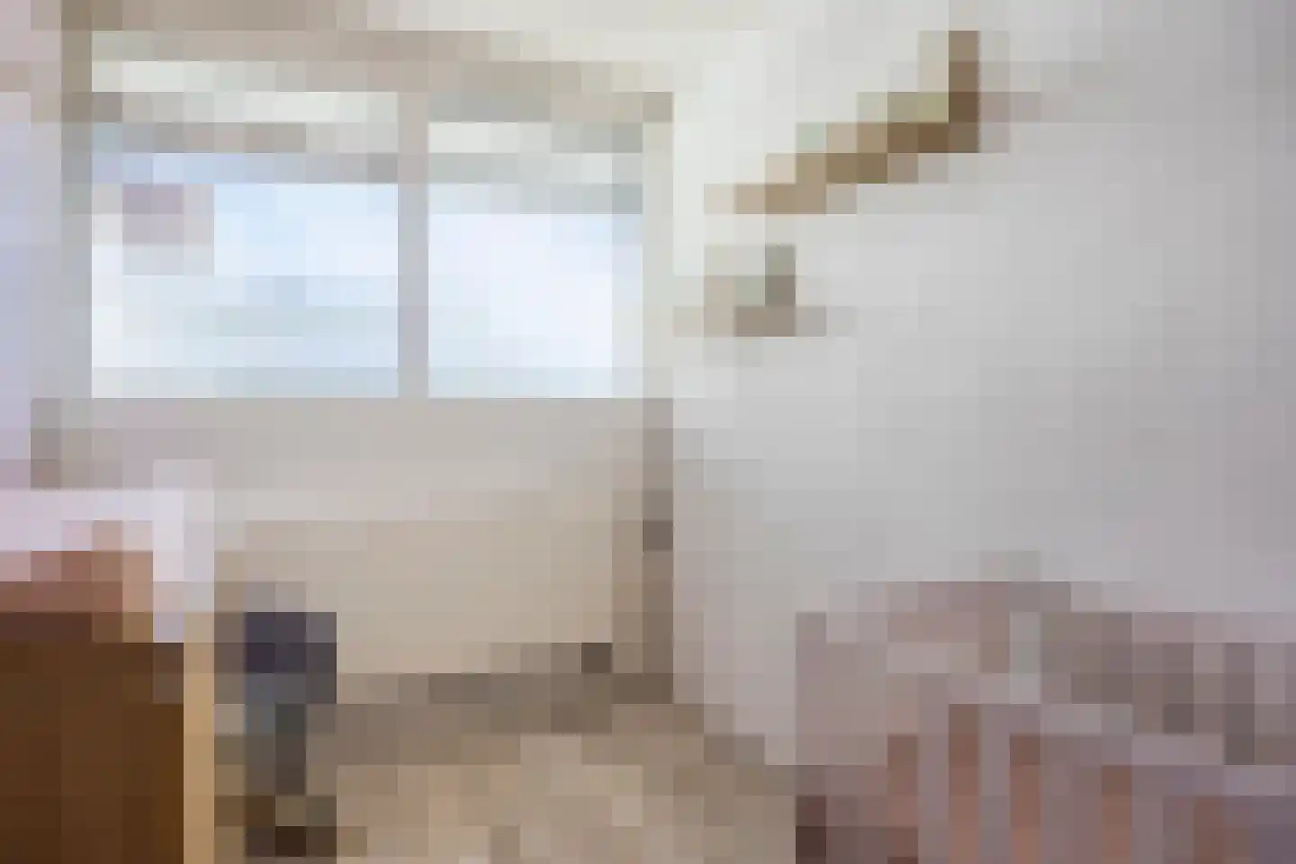 Alferbos 70 Zoetermeer thumbnail 23