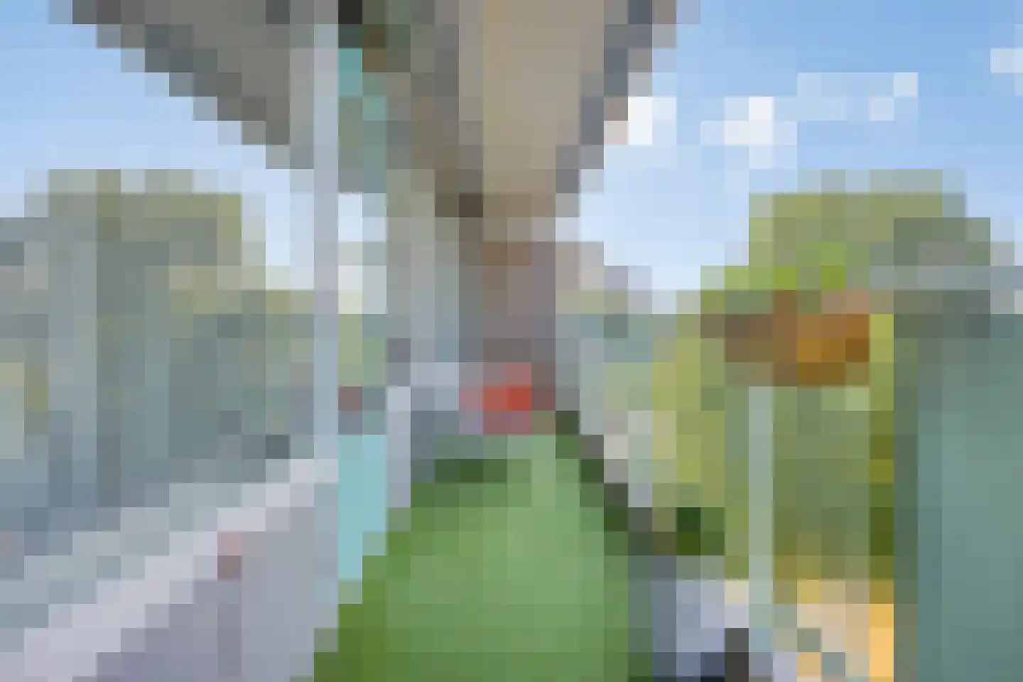 Alferbos 70 Zoetermeer thumbnail 4