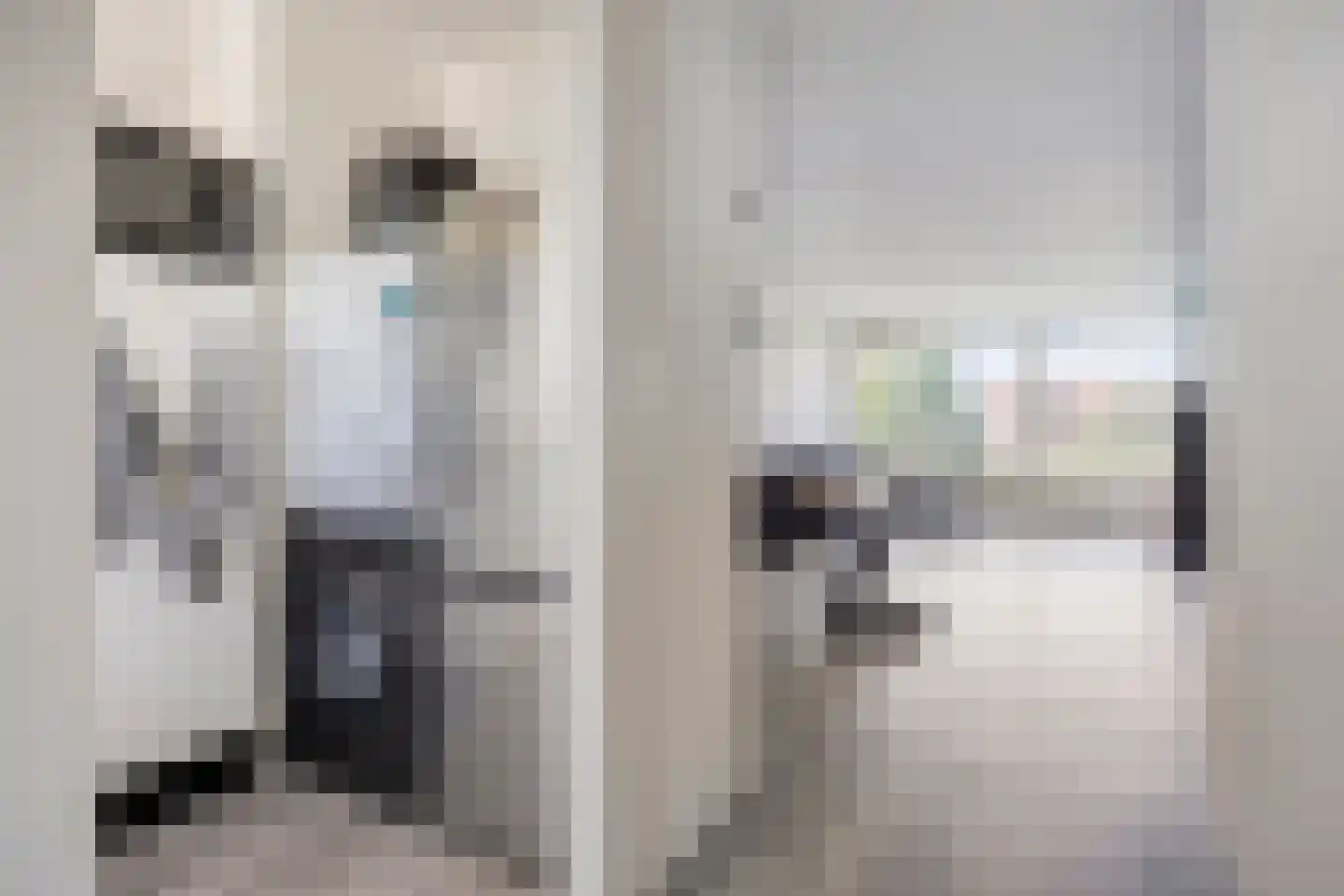 Alferbos 70 Zoetermeer thumbnail 8