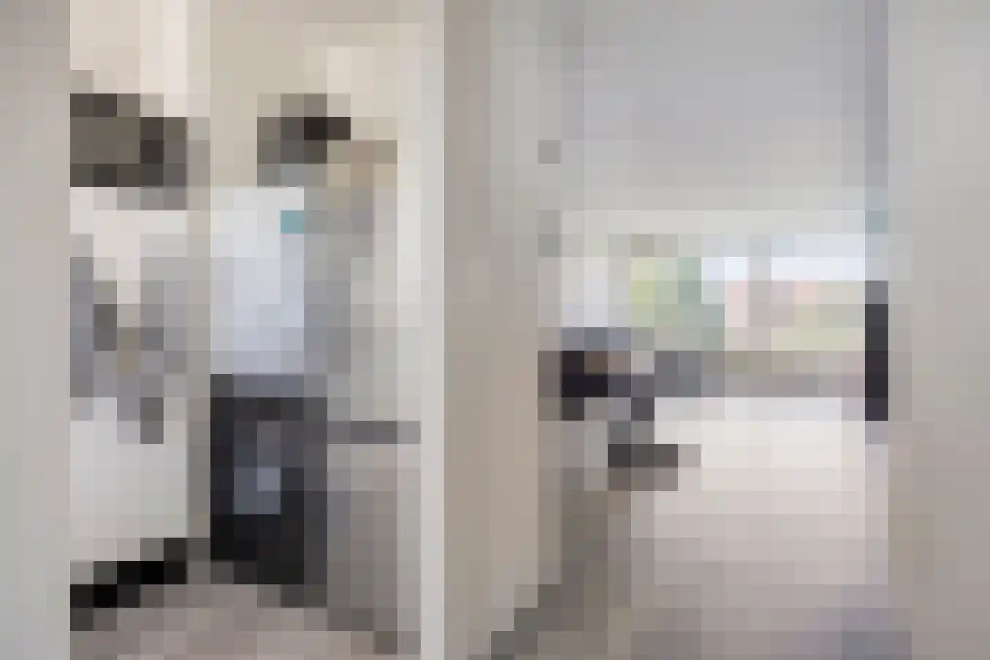 Alferbos 70 Zoetermeer thumbnail 8
