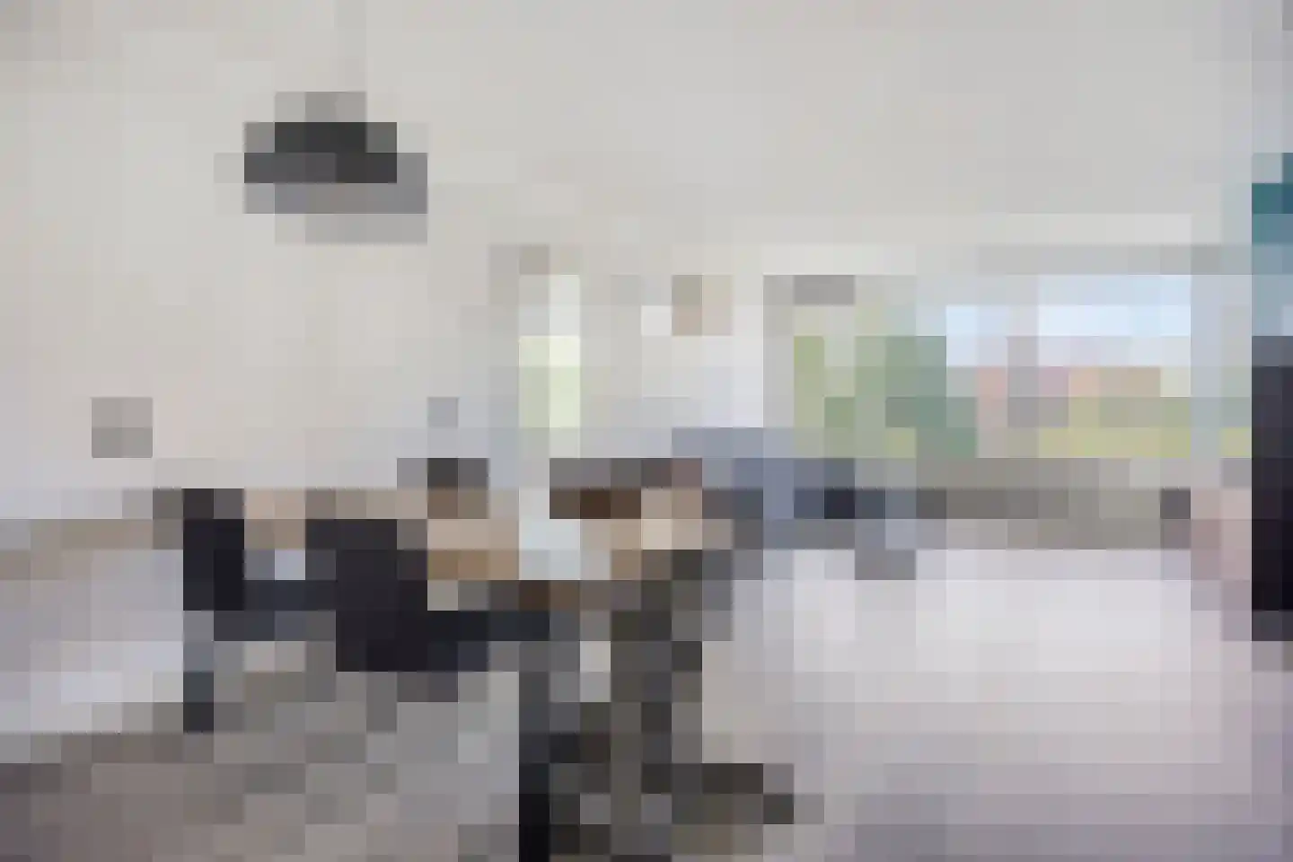 Alferbos 70 Zoetermeer thumbnail 9
