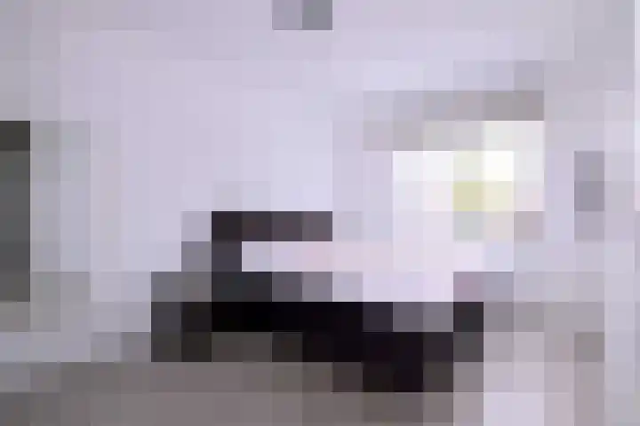 Alferdinkweg 49 A Schalkhaar thumbnail 13