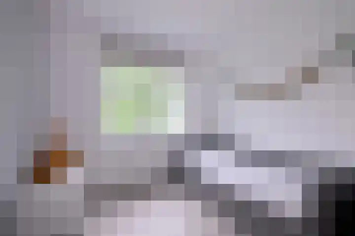Alferdinkweg 49 A Schalkhaar thumbnail 17