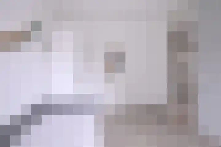 Alferdinkweg 49 A Schalkhaar thumbnail 18