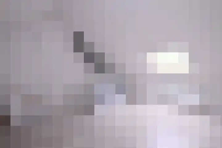 Alferdinkweg 49 A Schalkhaar thumbnail 28