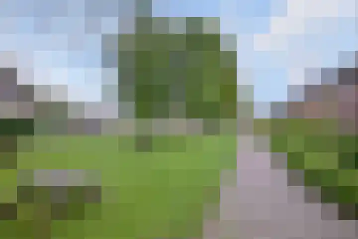 Alferdinkweg 49 A Schalkhaar thumbnail 34