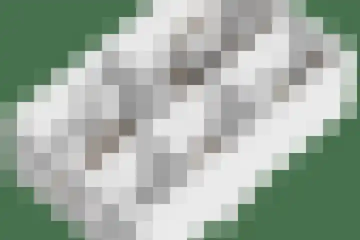 Alferdinkweg 49 A Schalkhaar thumbnail 44