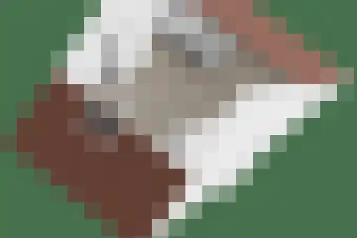 Alferdinkweg 49 A Schalkhaar thumbnail 45