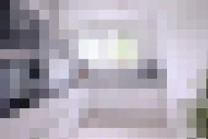Alferdinkweg 49 A Schalkhaar thumbnail 8