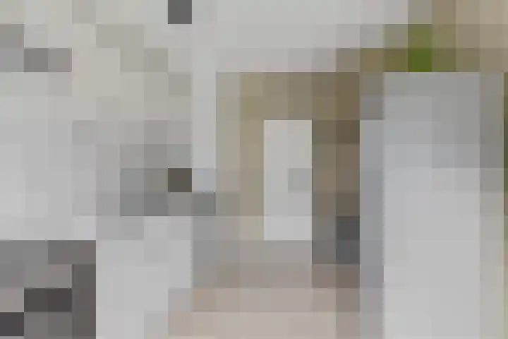 Alferhof 62 Drachten thumbnail 12
