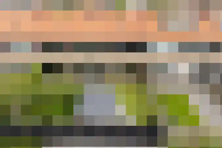 Alferhof 62 Drachten thumbnail 32