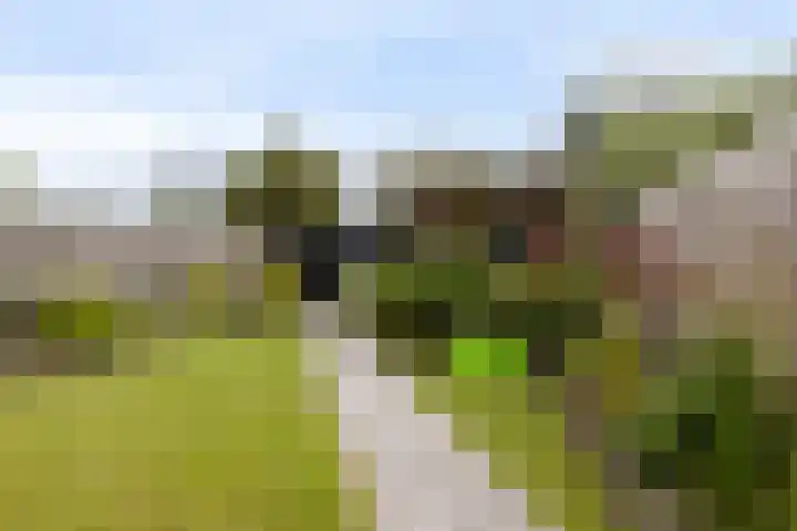 Alferhof 62 Drachten thumbnail 33