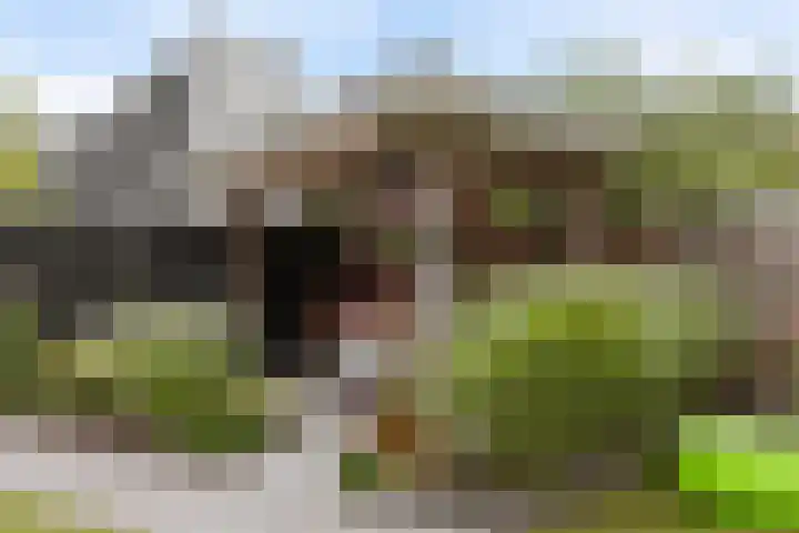 Alferhof 62 Drachten thumbnail 34
