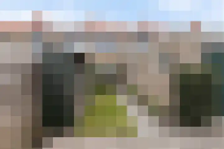 Alferhof 62 Drachten thumbnail 36