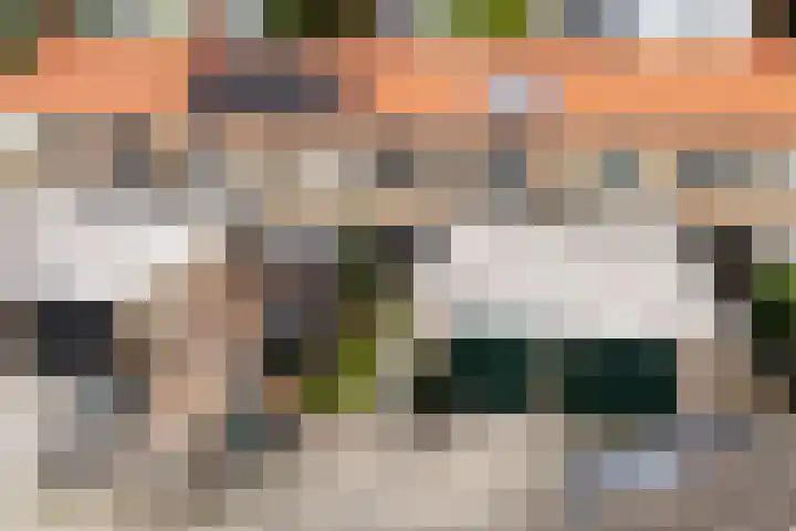 Alferhof 62 Drachten thumbnail 40
