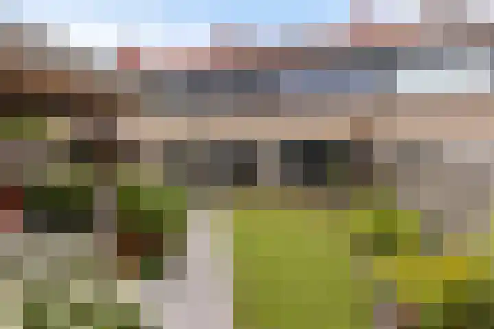 Alferhof 62 Drachten thumbnail 46