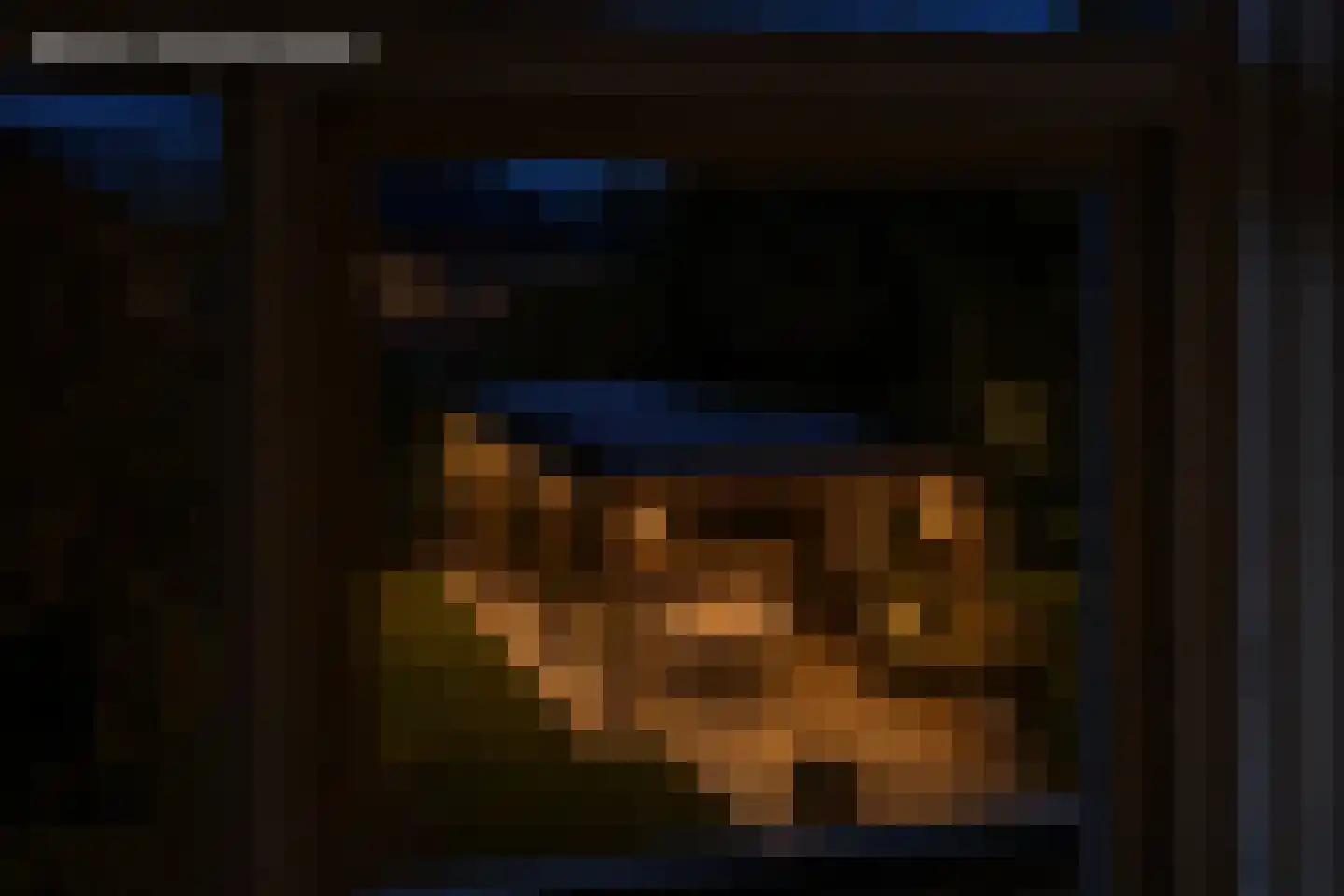 Alferinklaan 22 Bathmen thumbnail 31