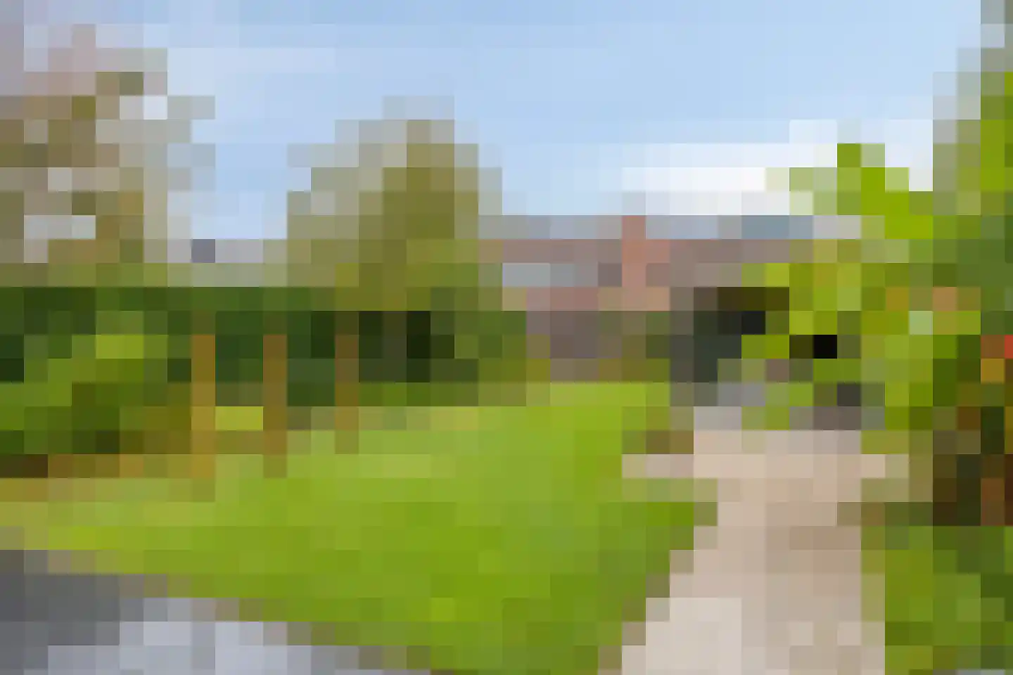 Alferinklaan 22 Bathmen thumbnail 37