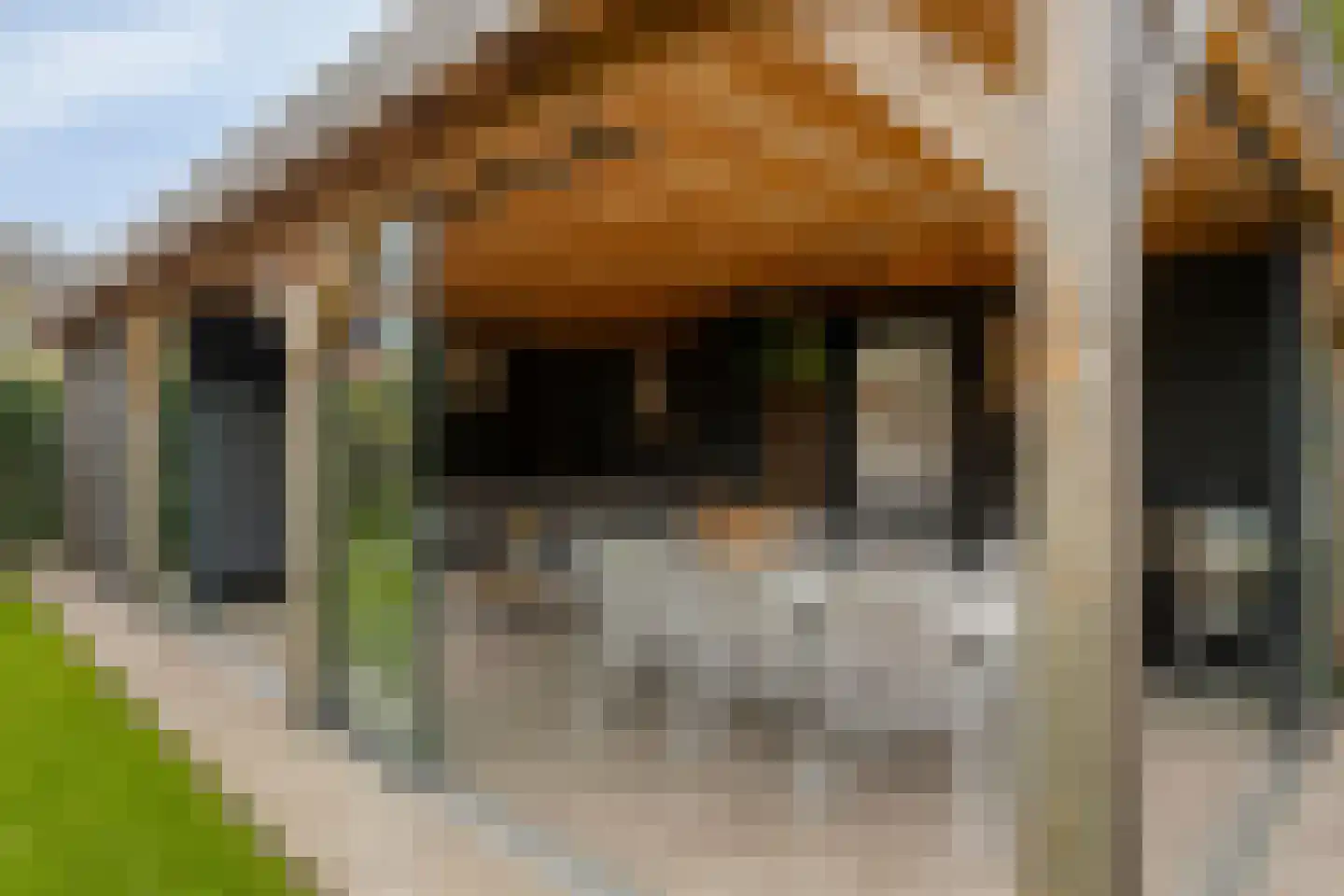 Alferinklaan 22 Bathmen thumbnail 40