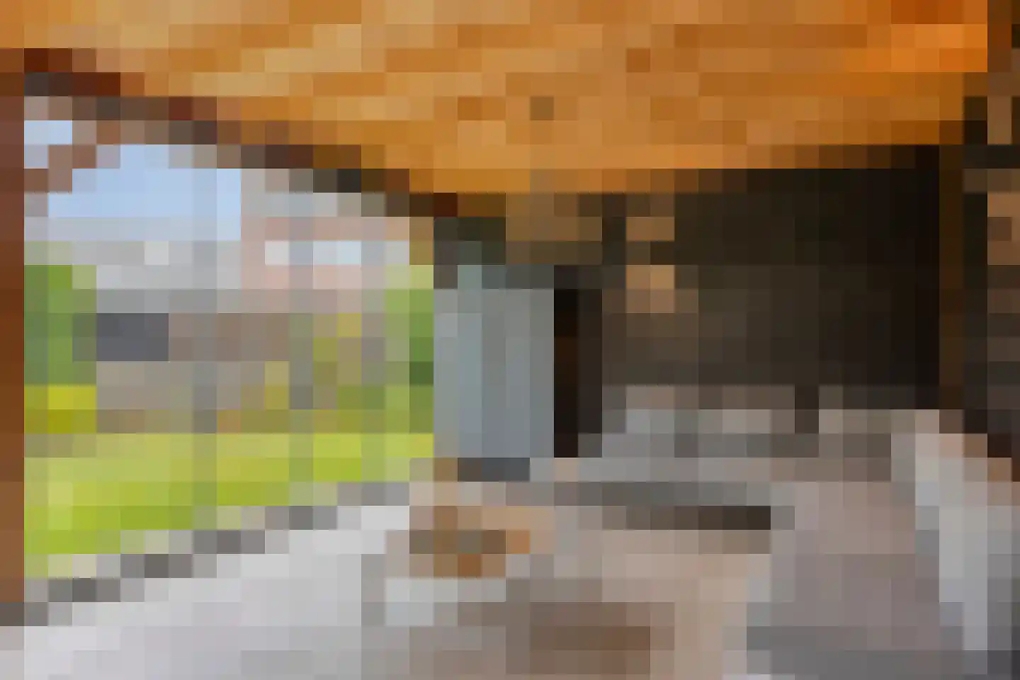 Alferinklaan 22 Bathmen thumbnail 42