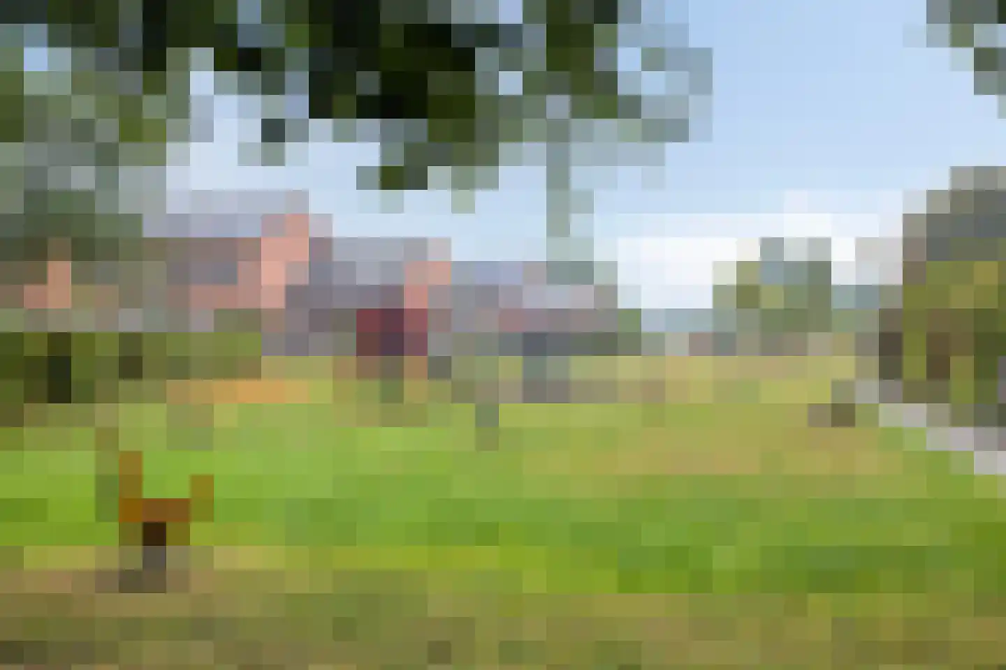 Alferinklaan 22 Bathmen thumbnail 48