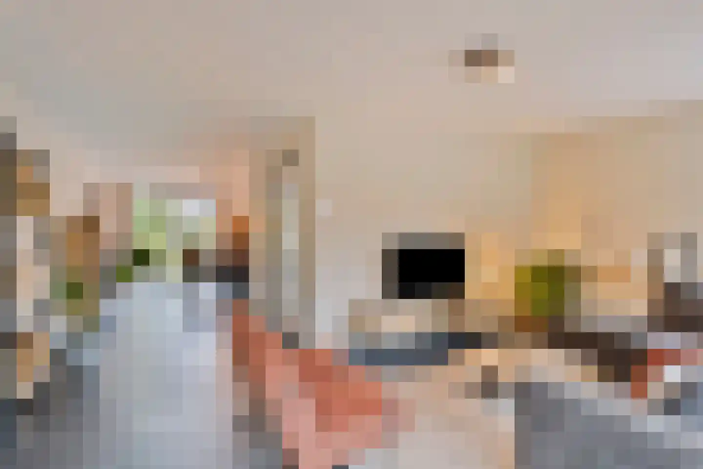 Alferinklaan 22 Bathmen thumbnail 5