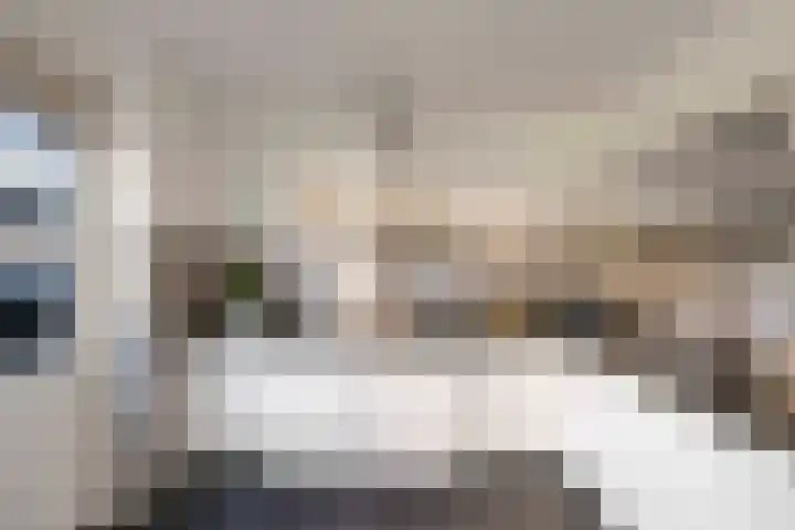 Alferinklaan 36 Bathmen thumbnail 15