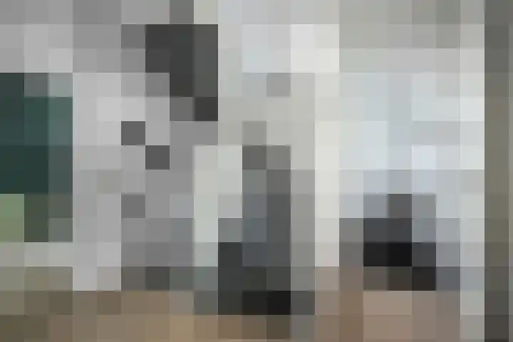 Alferinklaan 36 Bathmen thumbnail 20