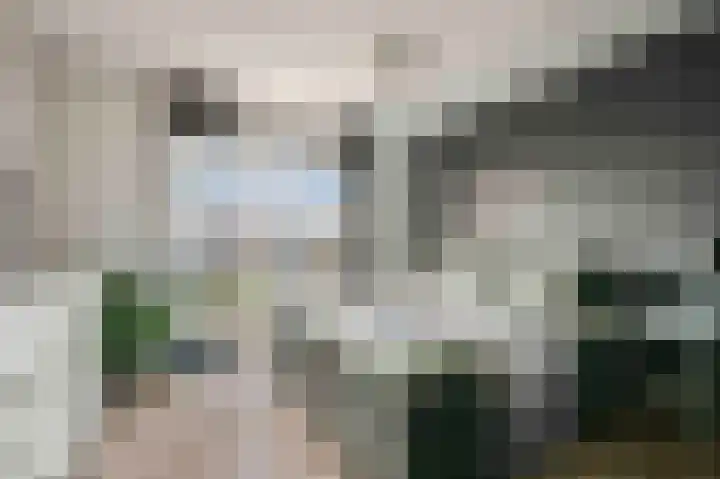 Alferinklaan 36 Bathmen thumbnail 21