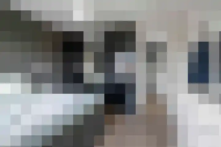 Alferinklaan 36 Bathmen thumbnail 22