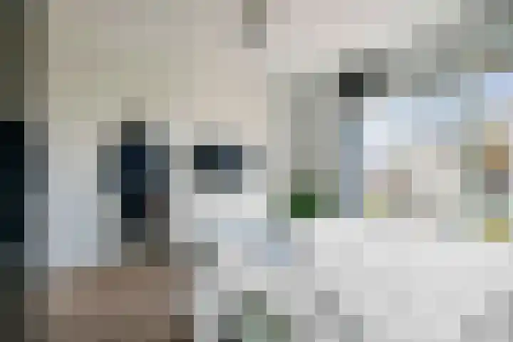 Alferinklaan 36 Bathmen thumbnail 23