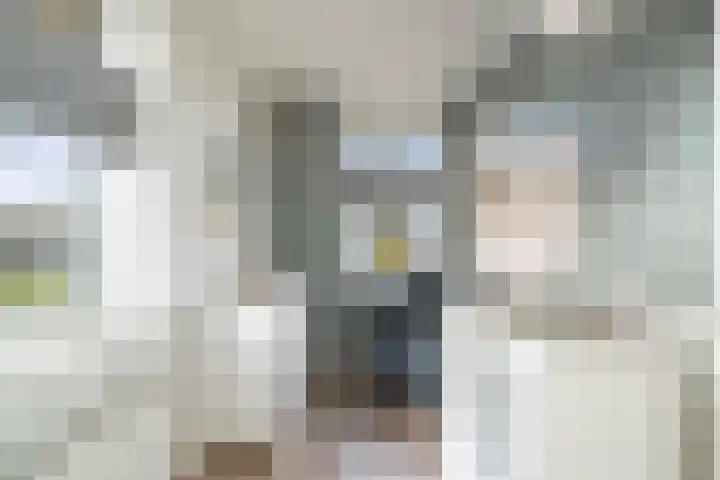 Alferinklaan 36 Bathmen thumbnail 24
