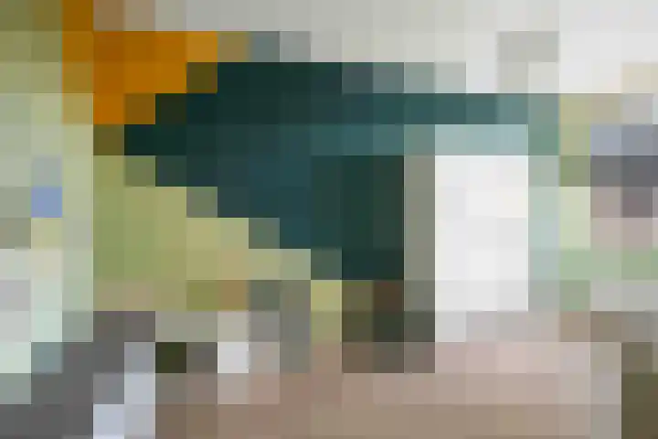 Alferinklaan 36 Bathmen thumbnail 29