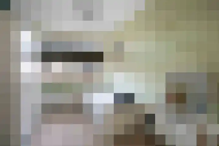 Alferinklaan 36 Bathmen thumbnail 30