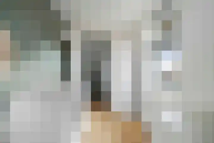 Alferinklaan 36 Bathmen thumbnail 32