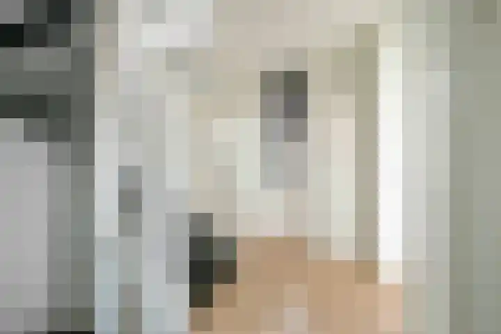Alferinklaan 36 Bathmen thumbnail 36