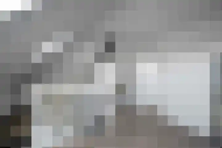 Alferinklaan 36 Bathmen thumbnail 40