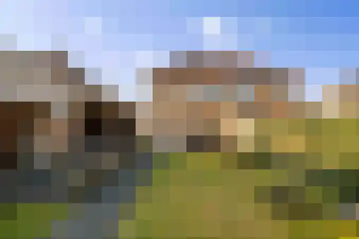 Alferinklaan 36 Bathmen thumbnail 48