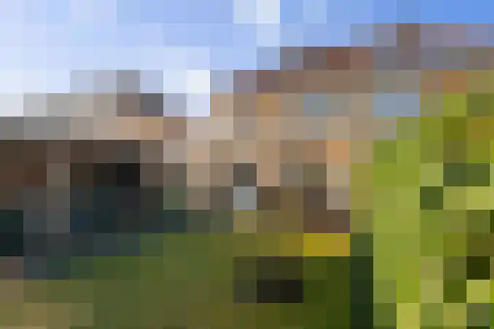 Alferinklaan 36 Bathmen thumbnail 49