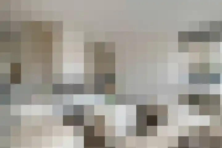 Alferinklaan 36 Bathmen thumbnail 5